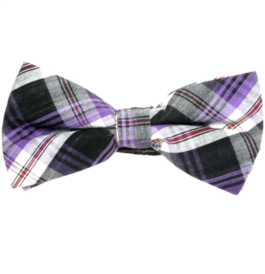 Papillon Scozzese Nero e Viola