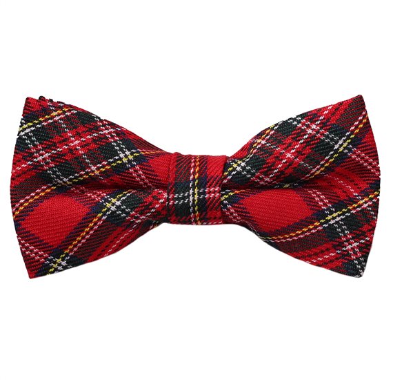 Papillon Scozzese Rosso e Verde
