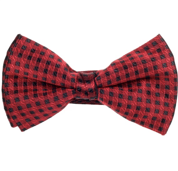 Papillon a Quadretti Bordeaux e Neri