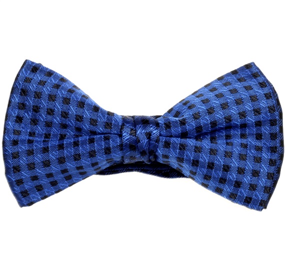 Papillon a Quadretti Neri e Blu