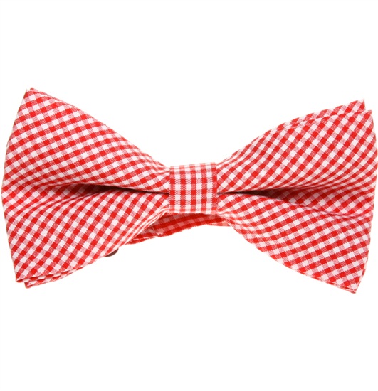 Papillon a Quadretti Vichy Bianchi e Rossi