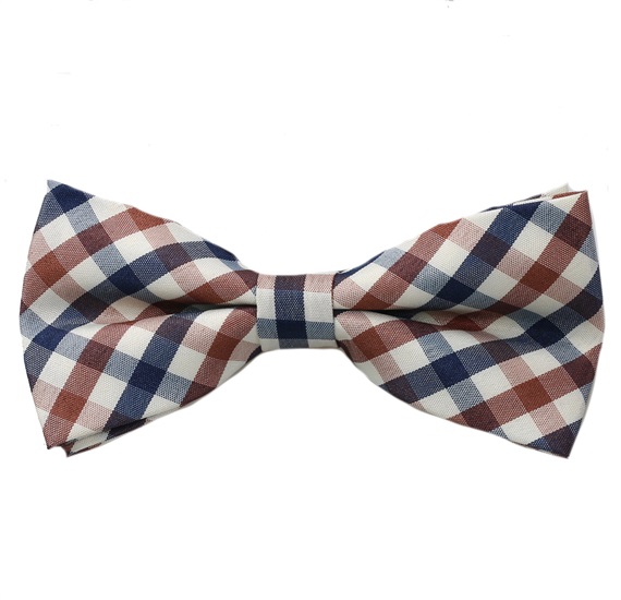 Papillon a Quadretti Vichy Marrone e Blu
