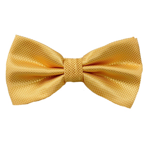 Papillon Elegante Giallo