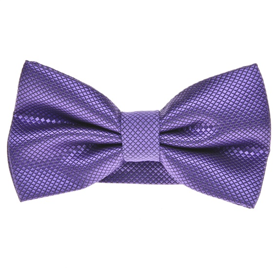Papillon Elegante Viola Chiaro
