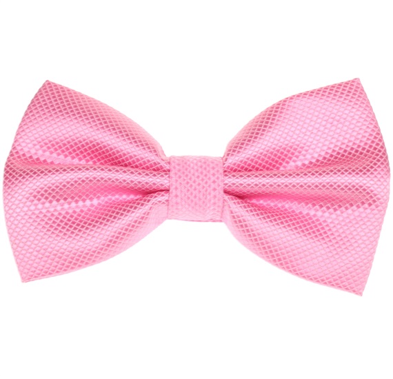 Papillon Elegante Rosa