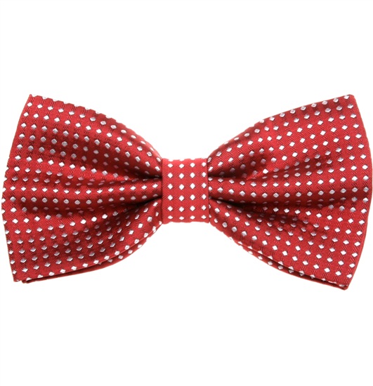 Papillon Bordeaux a Pois Bianchi