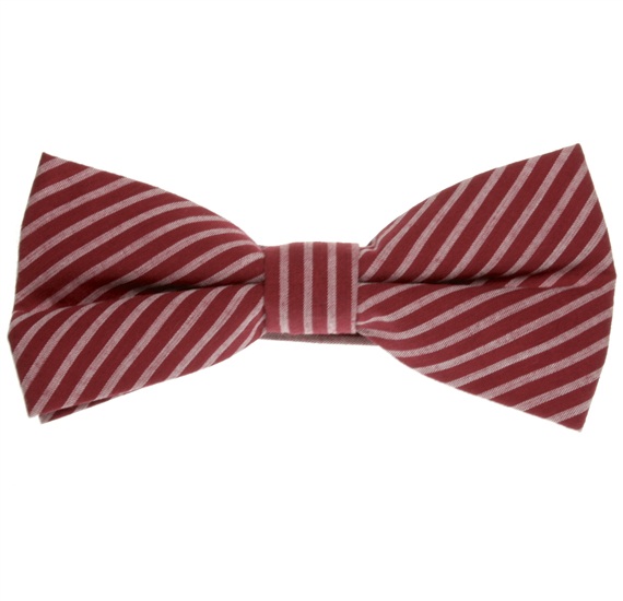 Papillon Bordeaux a Righe Bianche