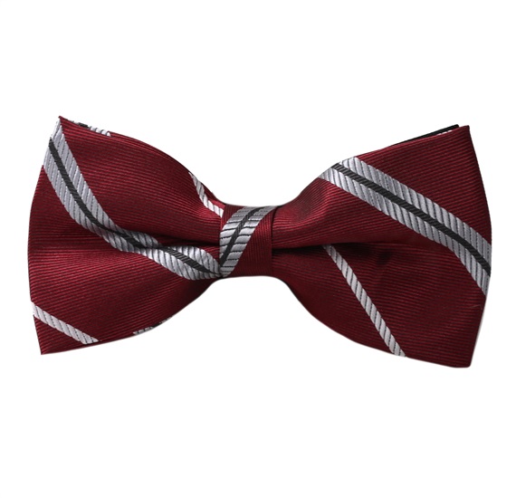 Papillon Bordeaux a Righe Grigie