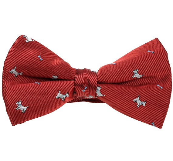 Papillon Granato con Schnauzer Bianco