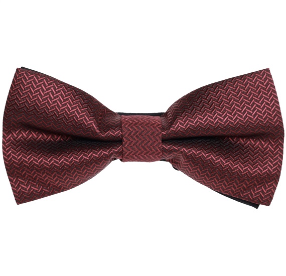 Papillon Bordeaux a Spina