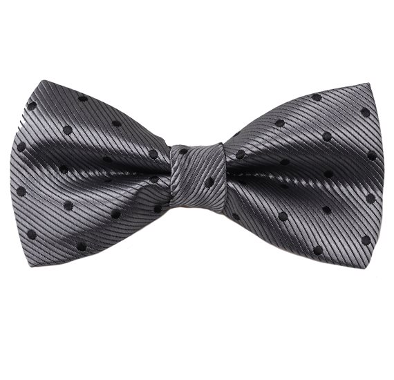 Papillon Grigio a Pois Neri