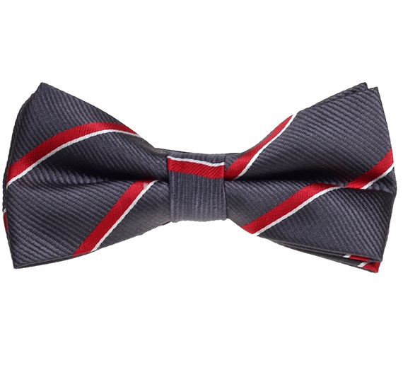 Papillon Grigio Viola Righe Rosse