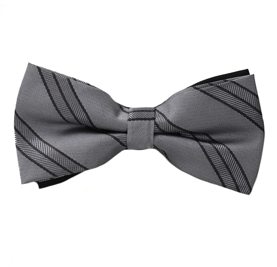 Papillon Grigio Righe Nere
