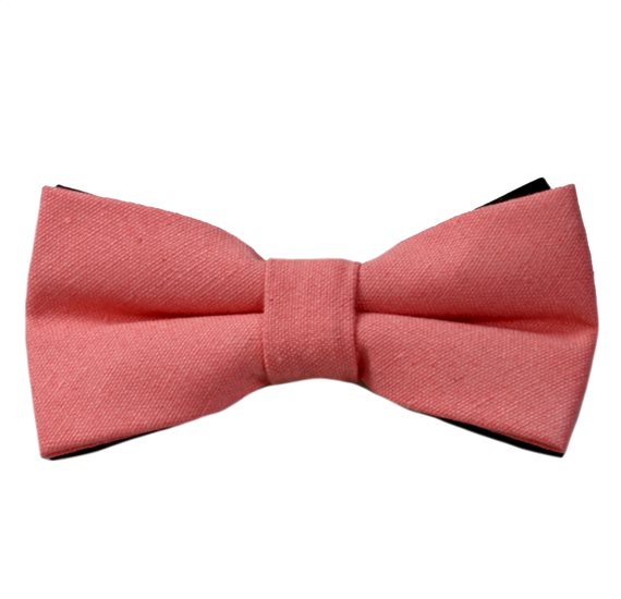 Papillon Corallo Vivente