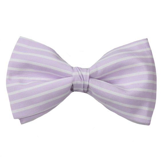Papillon a Righe Malva