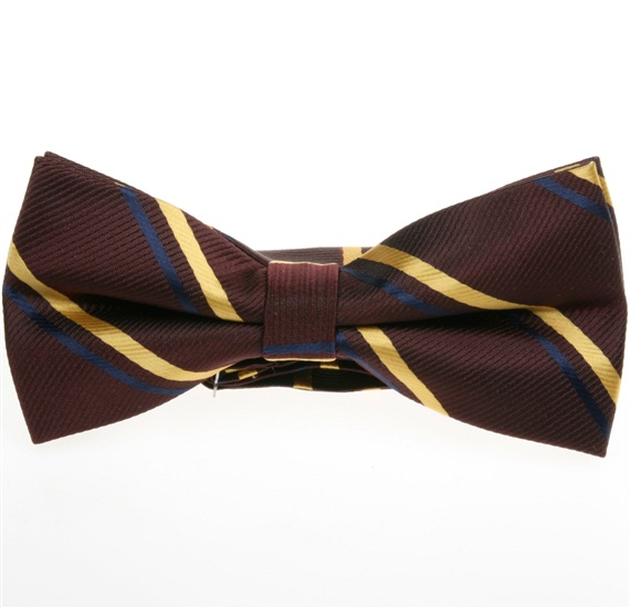 Papillon Marrone a Righe Oro