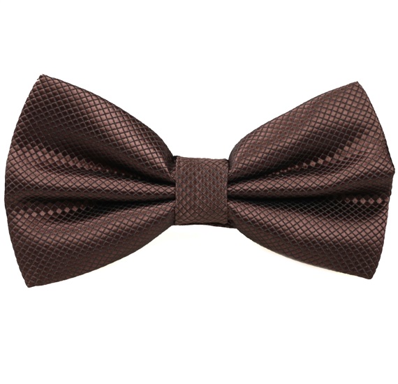 Papillon Marrone Scuro