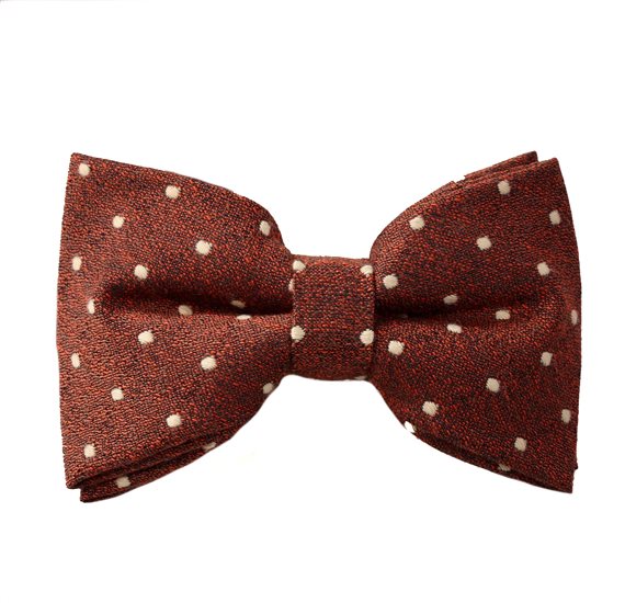 Papillon Marrone Terracotta a Pois