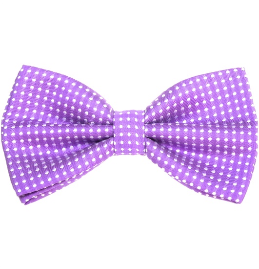 Papillon Viola a Pois Bianchi