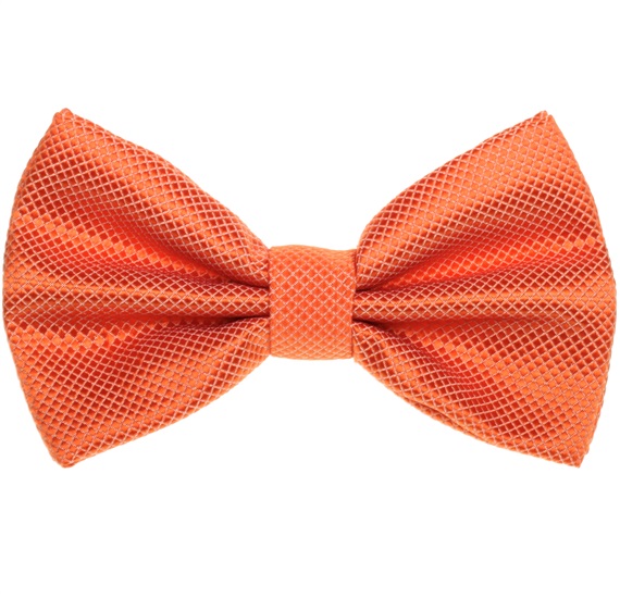 Papillon Arancione