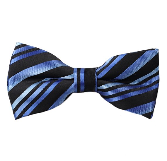 Papillon Nero Righe Blu