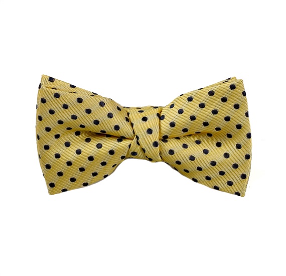 Papillon Bambino Giallo con Pois Blu