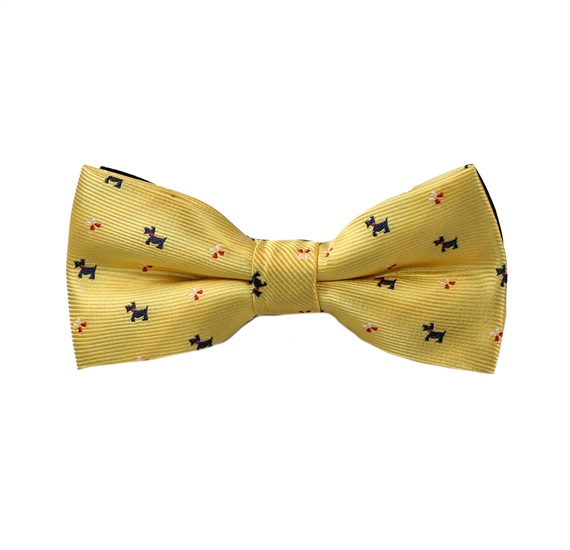 Papillon Bambino Giallo Schnauzer