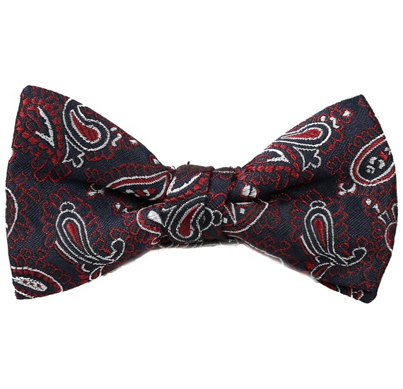 Papillon Bambino Blu Navy Cashmere Bordeaux