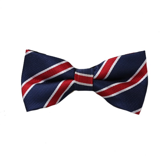 Papillon Bambino Blu Navy Righe Bordeaux