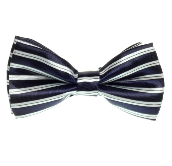 Papillon Bambino Blu Navy e Righe Bianche