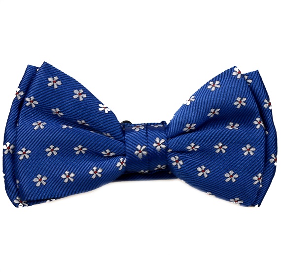 Papillon Bambino Azzurro con Margherite