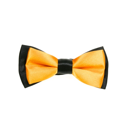 Papillon Bambino Bicolore Nero e Giallo