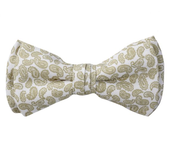 Papillon Bambino Bianco Paisley Verde