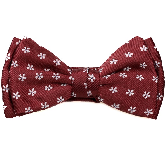 Papillon Bambino Bordeaux Margherite