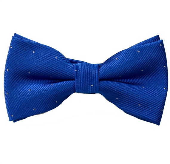Papillon Bambino Festa Blu a Pois