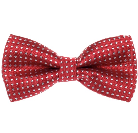 Papillon Bambino Bordeaux a Pois
