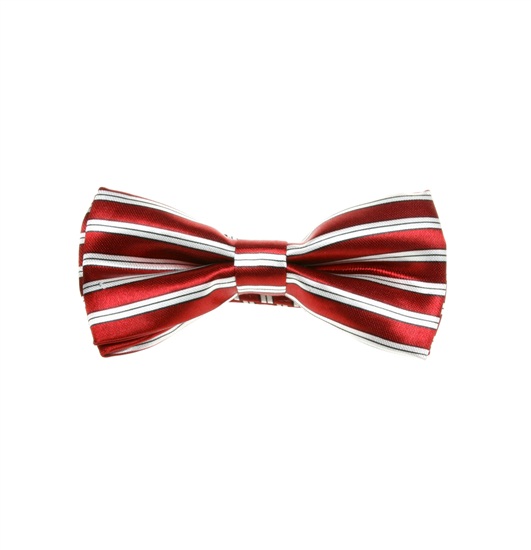 Papillon Bambino Bordeaux Righe Bianche