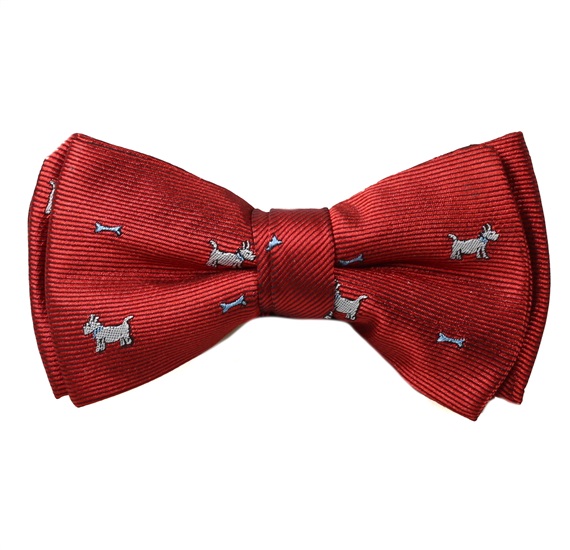 Papillon Bambino Granato Schnauzer