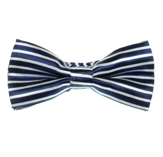 Papillon Bambino Righe Blu Marino Bianche