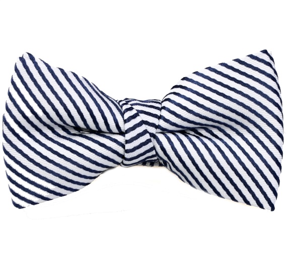 Papillon Bambino Righe Blu Navy Bianco