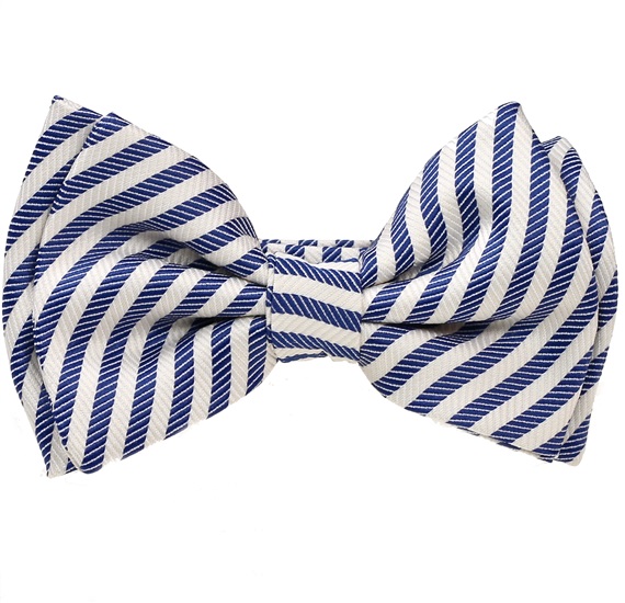 Papillon Bambino Righe Blu Navy e Bianco