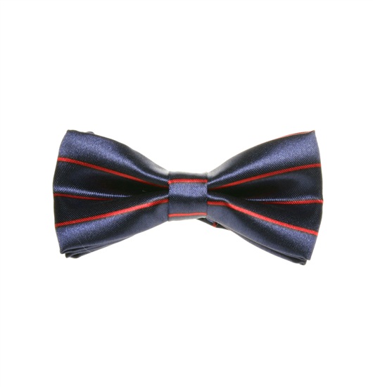 Papillon Bambino Righe Blu e Rosse