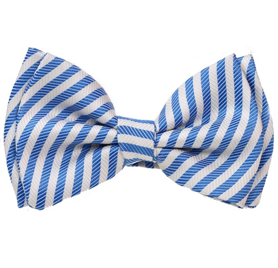 Papillon Bambino Righe Blu e Bianche