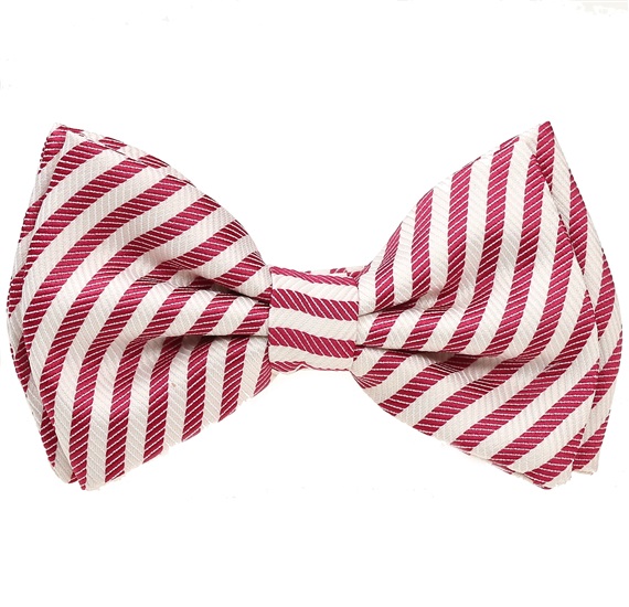 Papillon Bambino Righe Magenta e Bianche