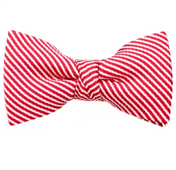 Papillon Bambino Righe Rosse Bianche