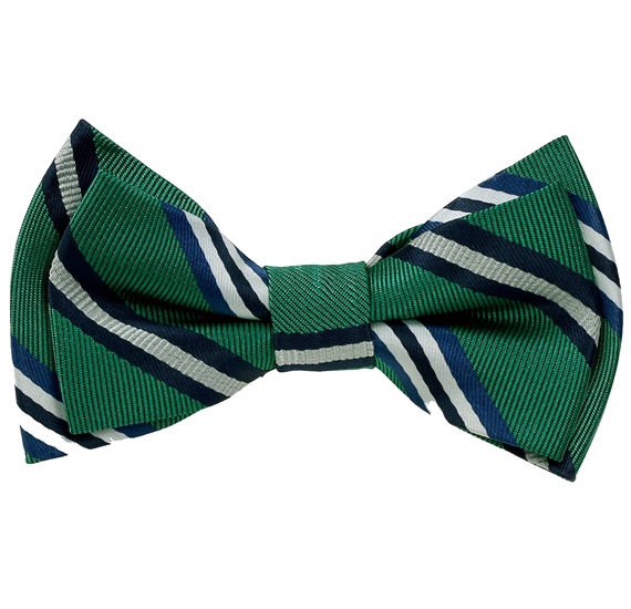 Papillon Bambino Righe Verde, Blu e Bianco
