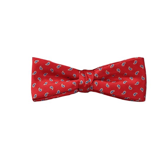 Papillon Bambino Rosso Paisley Blu