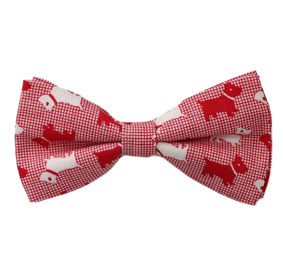 Papillon Bambino Rosso Schnauzers