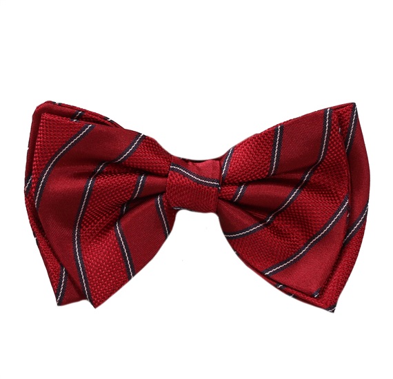 Papillon Bambino in Seta Bordeaux a Righe