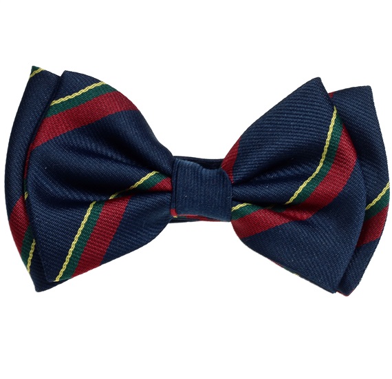 Papillon Bambino in Seta a Righe Blu Scuro e Bordeaux